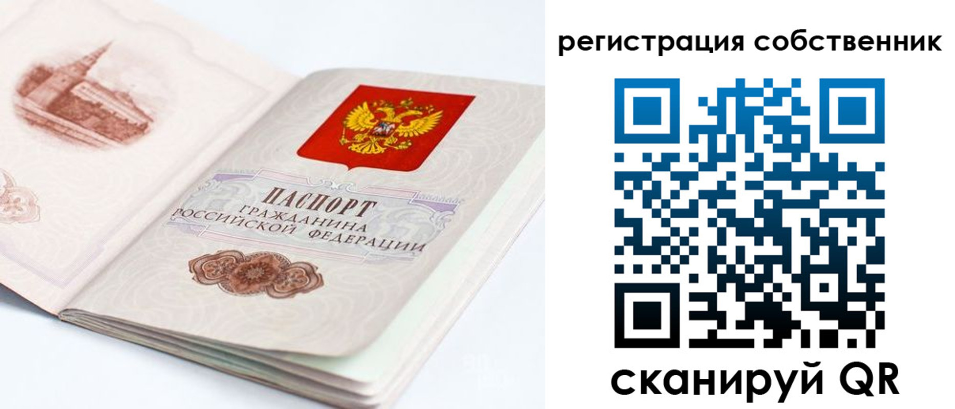 временная регистрация гарантия в Луге